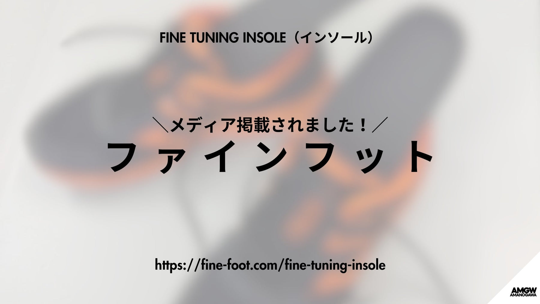 【メディア掲載されました！】FINE TUNING INSOLE（インソール）がファインフット様に紹介していただきました！