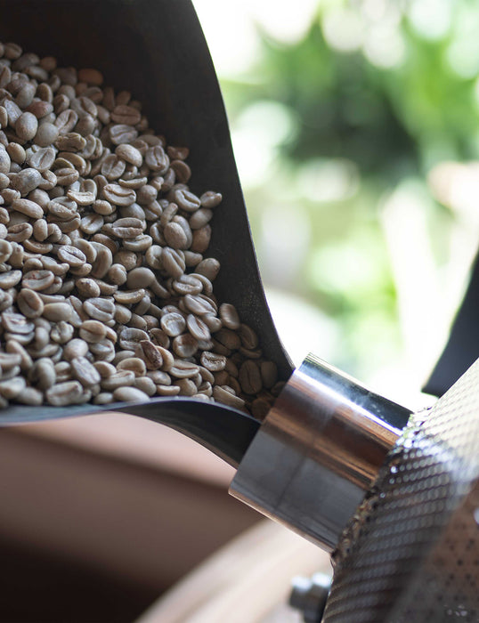 VIVA-Roaster +FT™︎（直火式珈琲焙煎機）